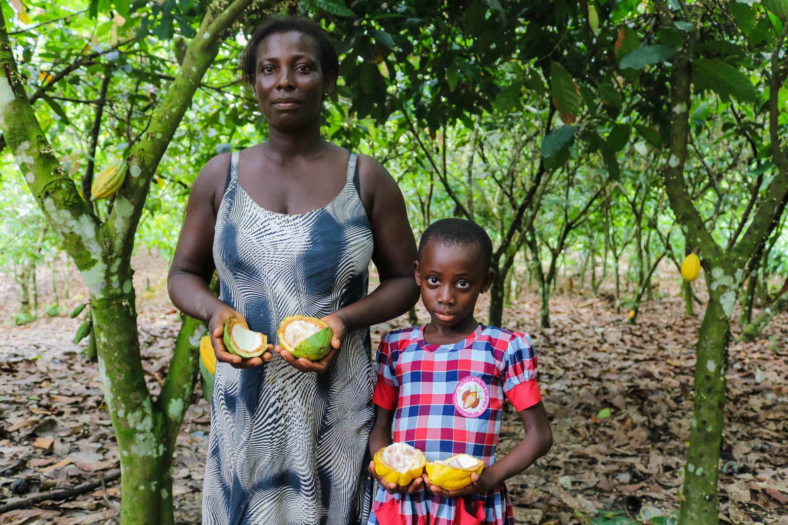 BrainStay community scene